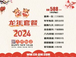 龙年套餐588