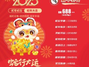 蛇行大运688套餐